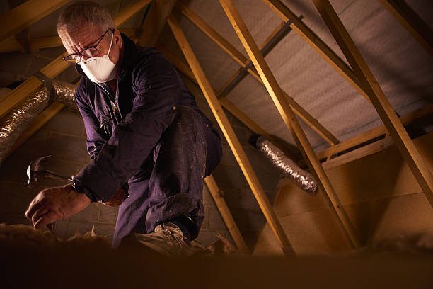 Best Insulation Installation Services in Beulah, ND